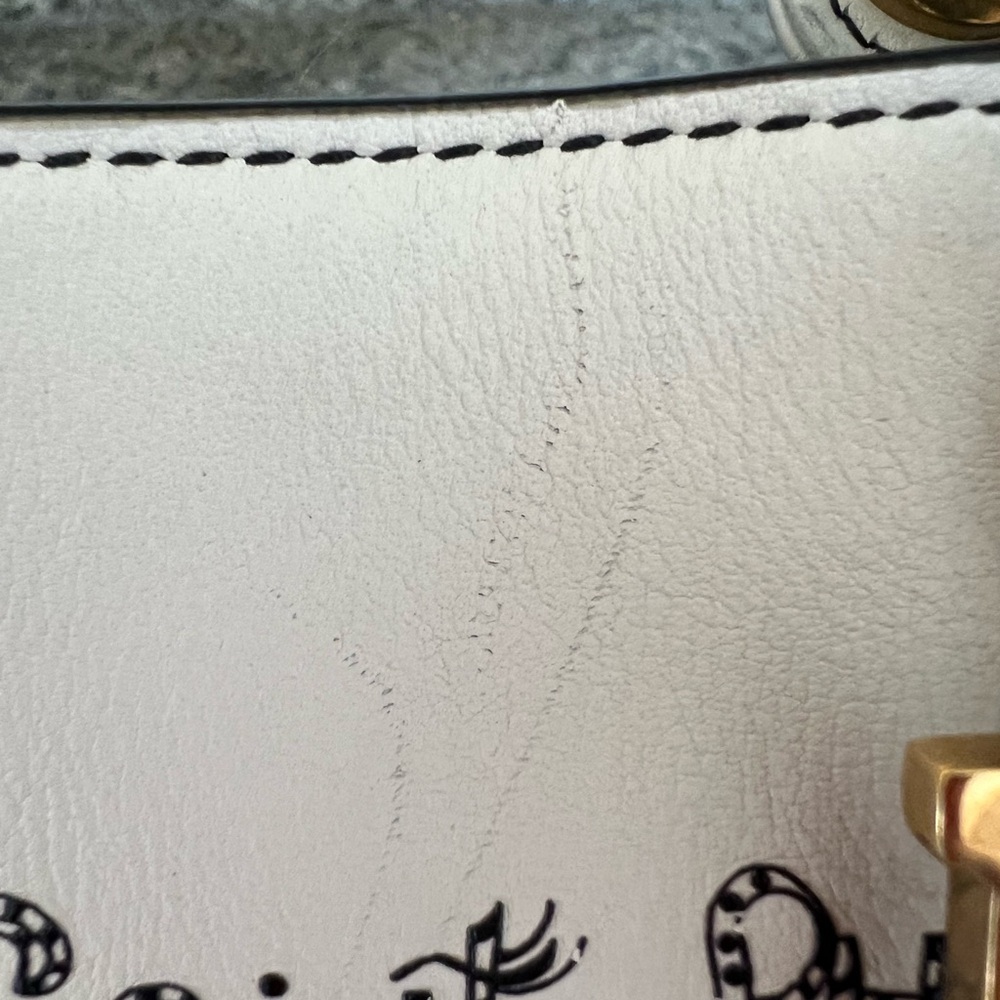 Lady Dior x Niki De Saint Phalle Purse - Picture 14 of 14
